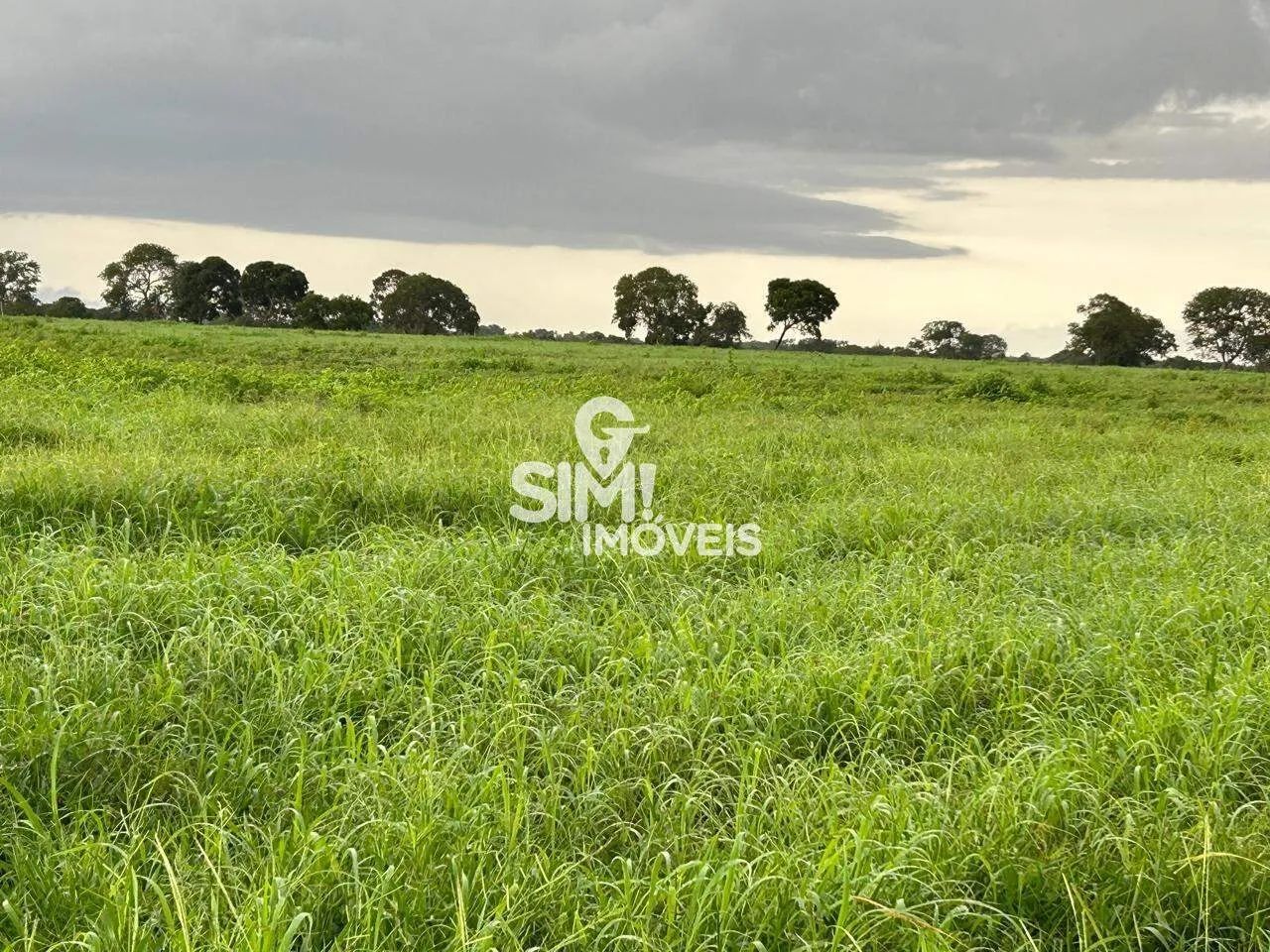Fazenda em Araguaçu TO - Foto 2