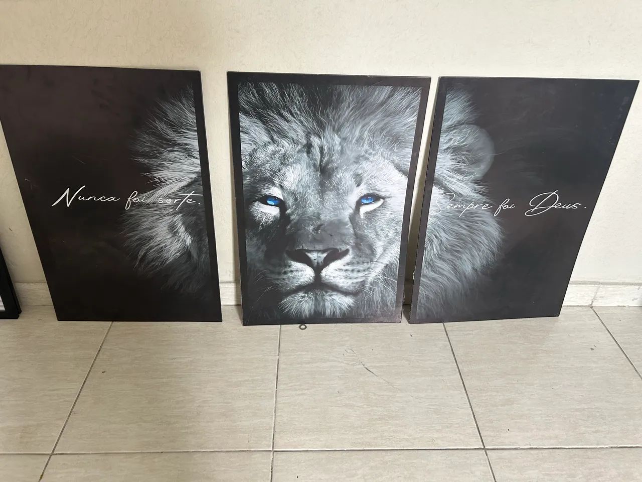 Vendo quadros 