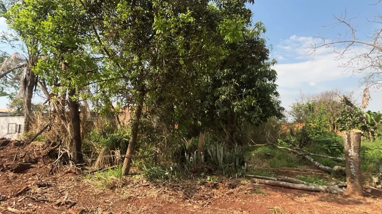 OPORTUNIDADE - TERRENO À VENDA! - Foto 2