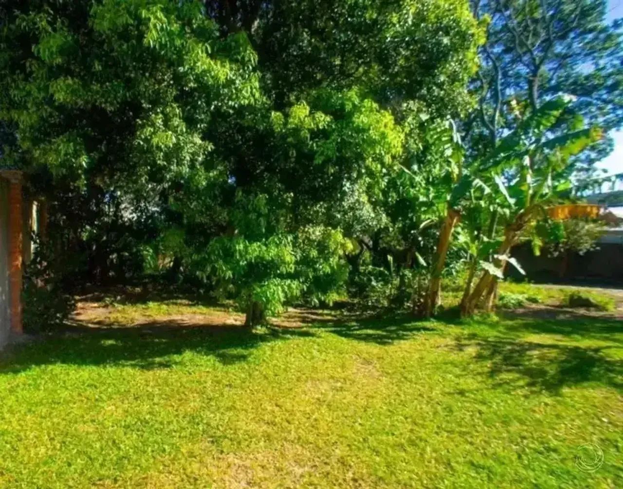 Terreno à venda no Rio Tavares codigo: 353775 - Foto 2