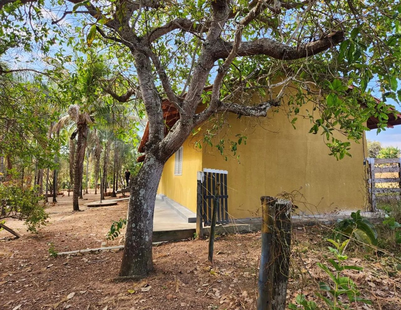 Chácara 4 alqueires em Hidrolândia, 1km da BR 153 fácil acesso - Foto 7