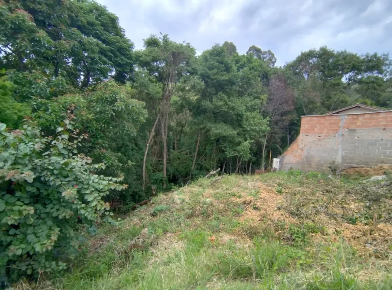 Terrenos Padrão em Caldas - Foto 3