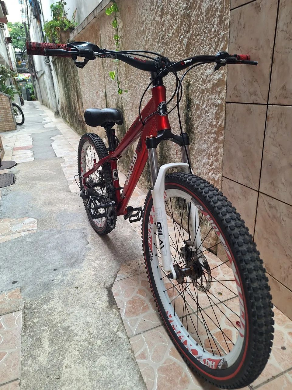 Gios  - Foto 2