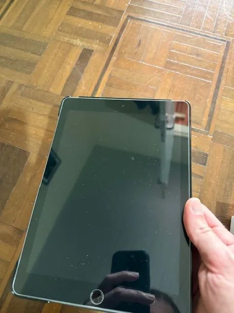 iPad + Apple Pencil
