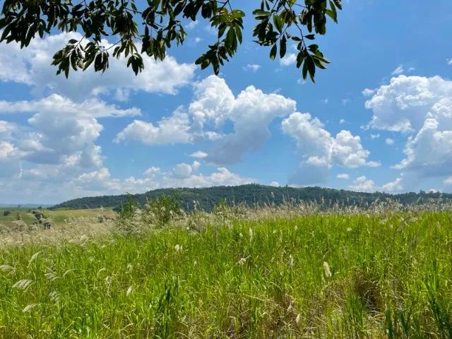 VENDO OU PERMUTO Terreno 22.800 m2 em Pardinho