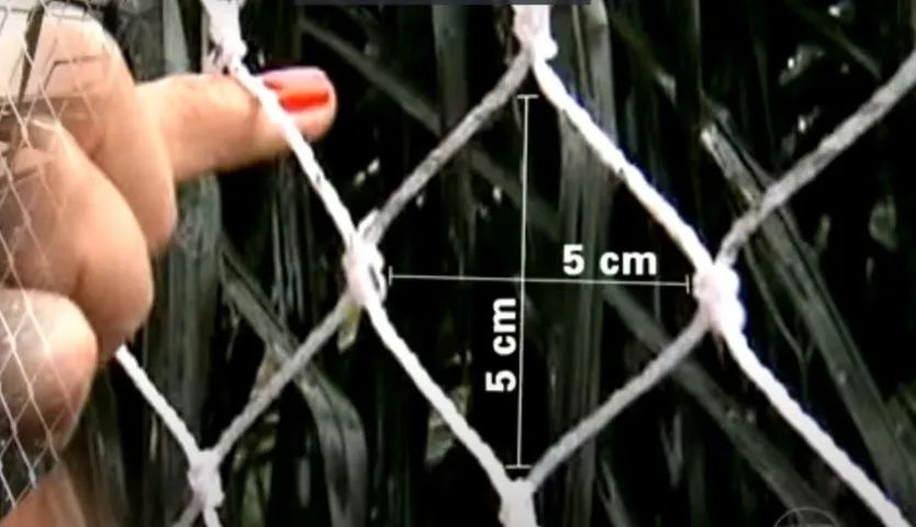 Tela e/ou Rede de proteção - Foto 5