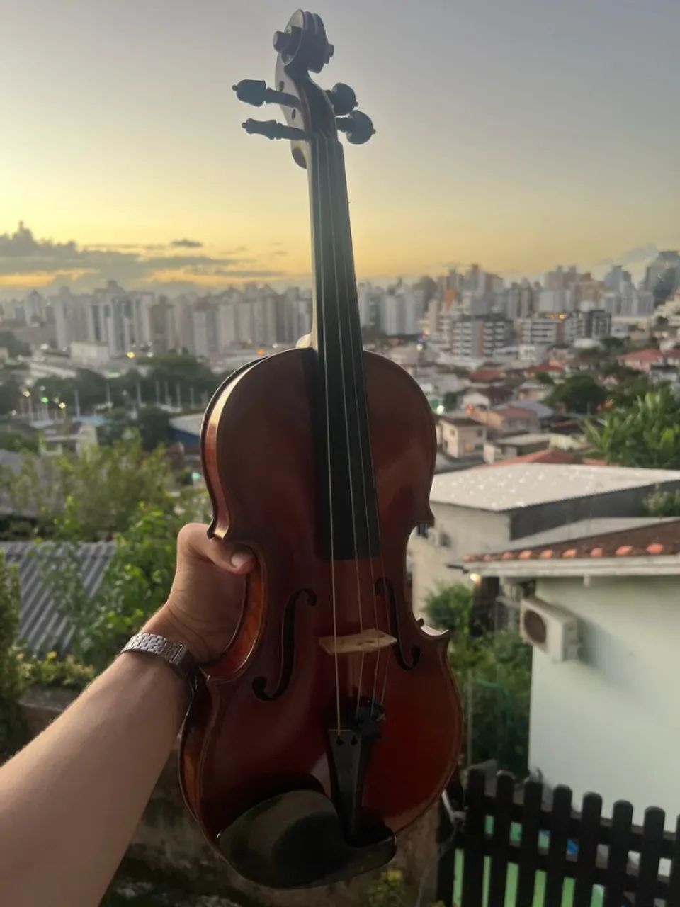 Violino Andreas Eastman VL605 4/4 2014 + HardCase em Fibra de