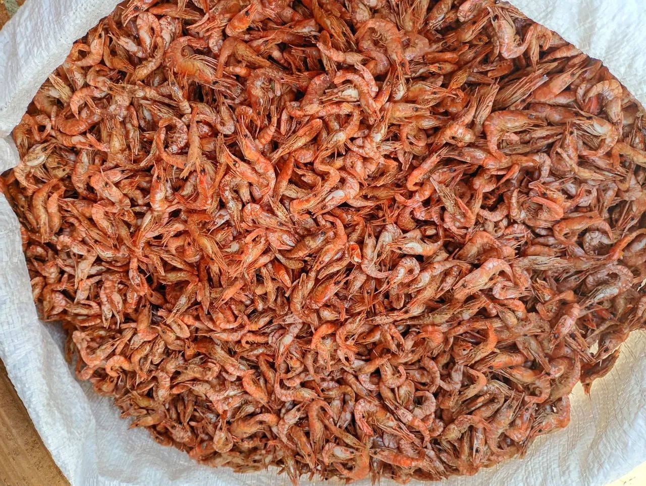 Camarão ? de água doce o Litro  - Foto 2