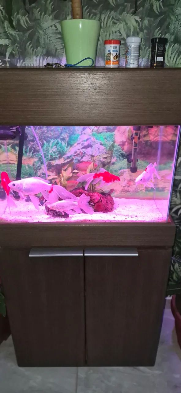 Vendo aquario 