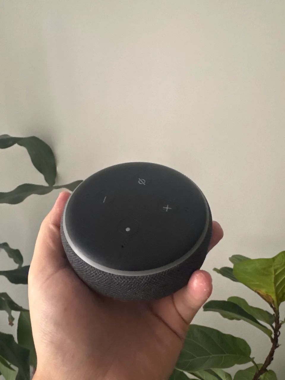 Alexa echo Dot 