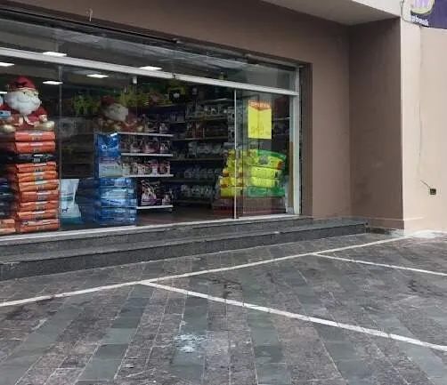 Vendo Casa De Ração com Banho e Tosa em Santo André. - Foto 4