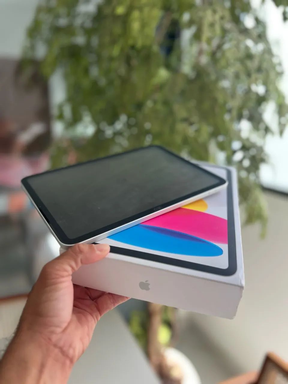 iPad 