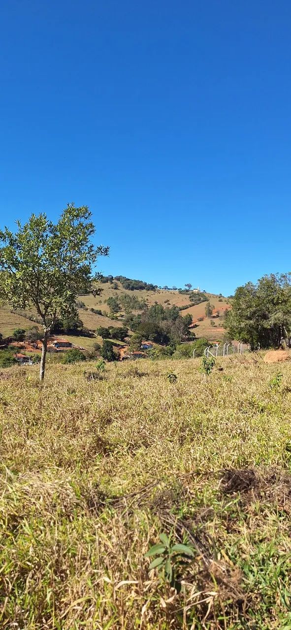 Vendo  Chacrinhas  no Sul de Minas - Foto 5