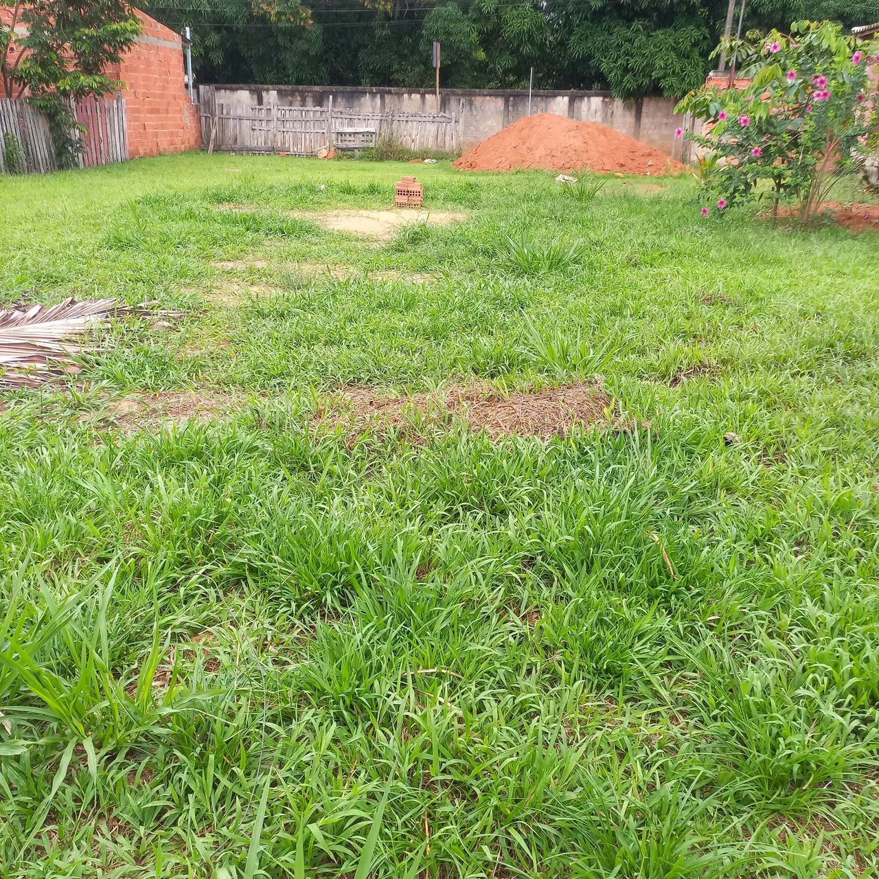 Vendo terreno  - Foto 3