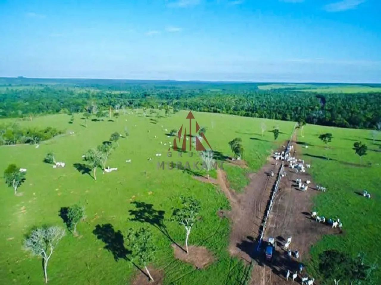 FAZENDA - PARANATINGA - MT - Foto 3
