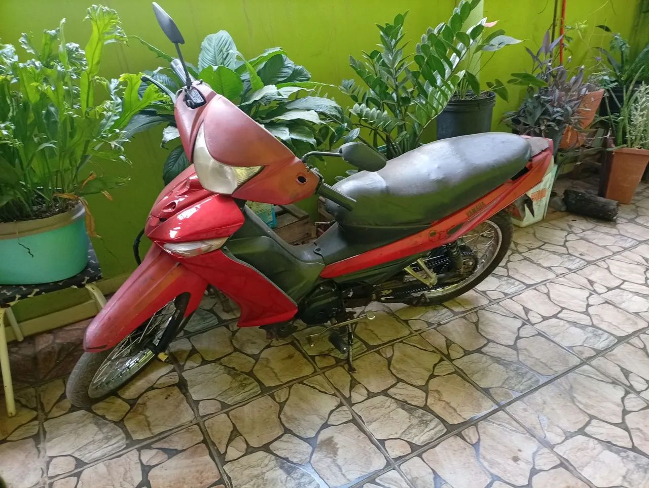 T115 CRYPTON ED - Foto 2