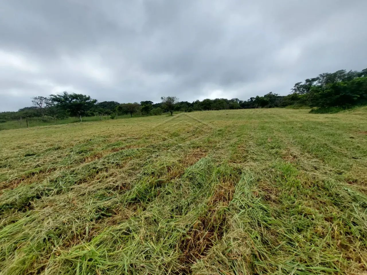 Excelente lote no PALMAS DEL REY! - Foto 5