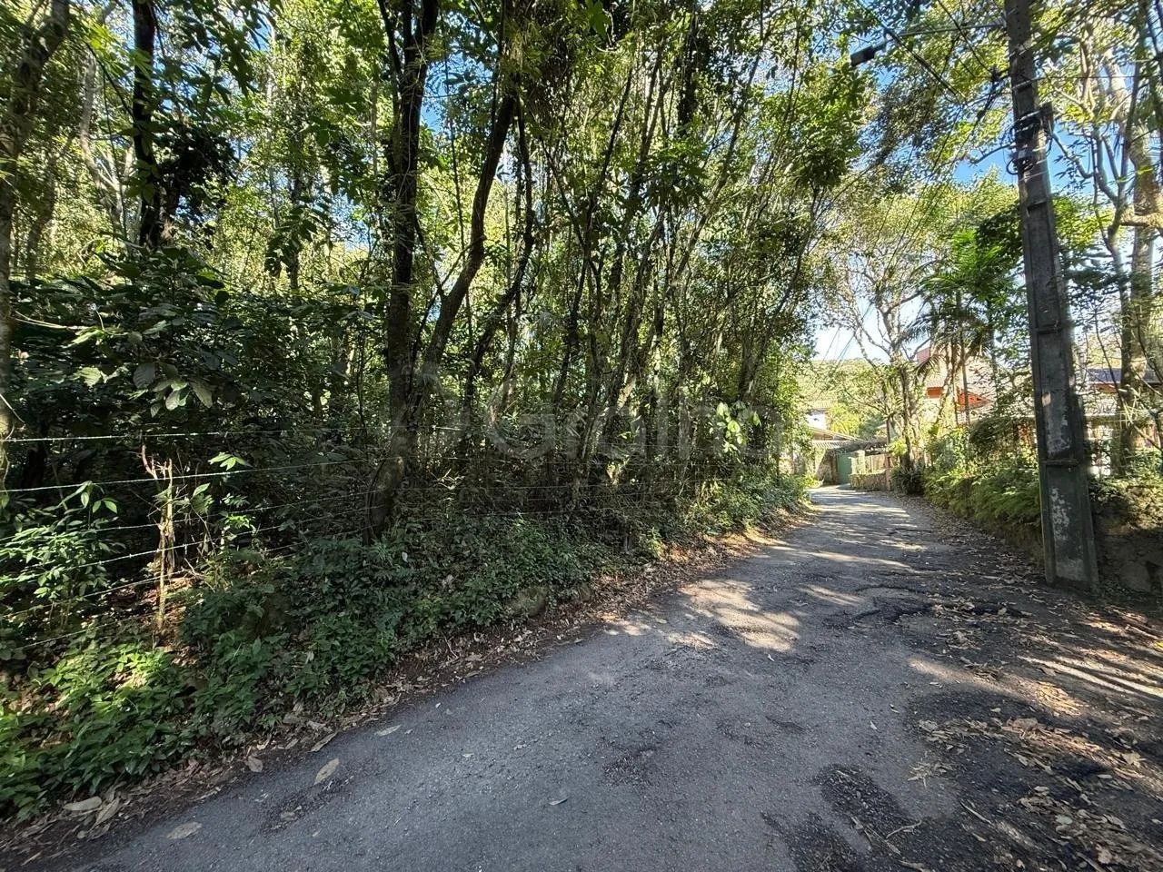 Terreno de 3.495,49 m² no Canto da Lagoa - Foto 4