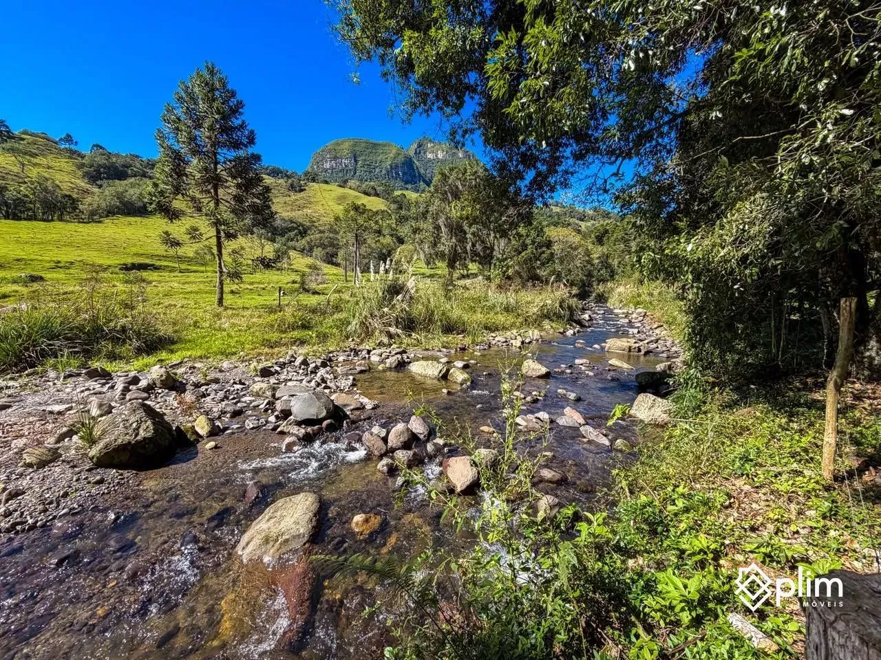 Sítio de 10 hectares com RIO na Pedra Branca  Alfredo Wagner, SC - Foto 2