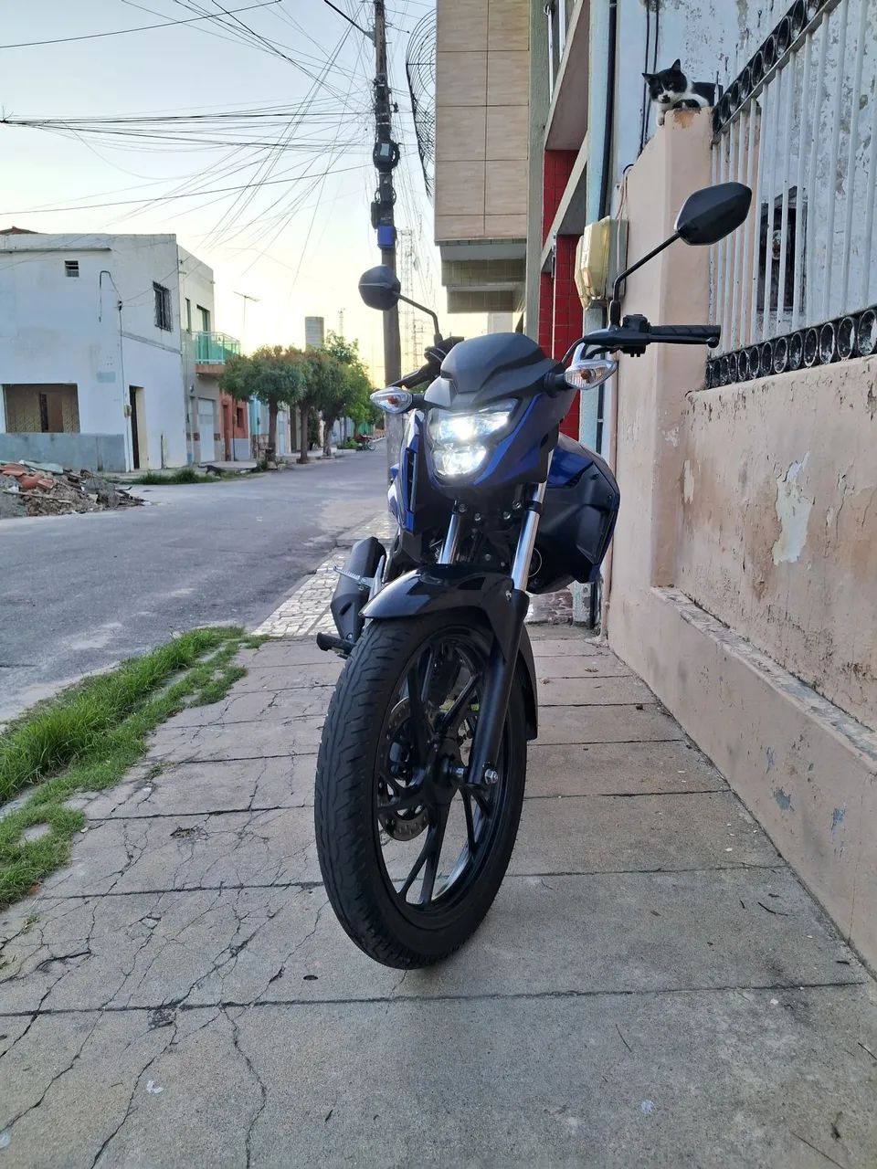 Novíssima  - Foto 2