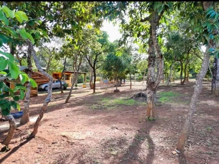 Chácara à Venda  2.000m² de Tranquilidade e Conforto - Foto 4
