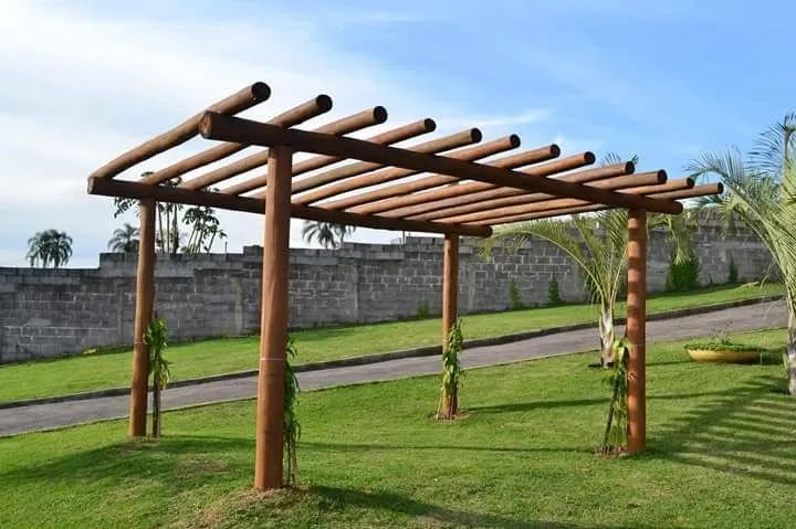 Eucalipto Tratado Amaru - Foto 3