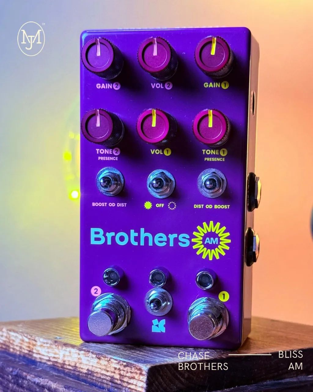 Chase Bliss Brothers AM - Instrumentos musicais - Macedo