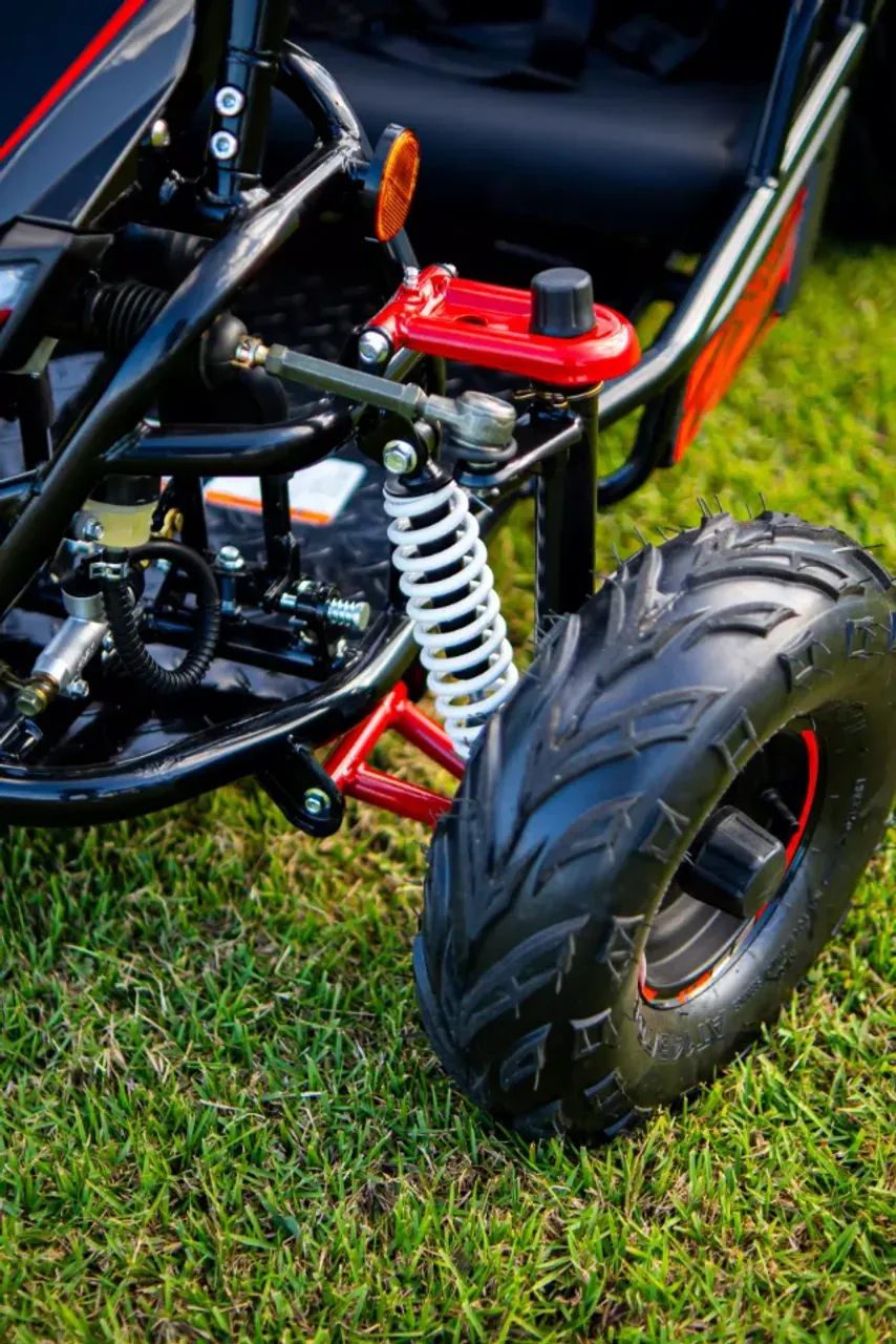 Shineray Kart 200 - Foto 5