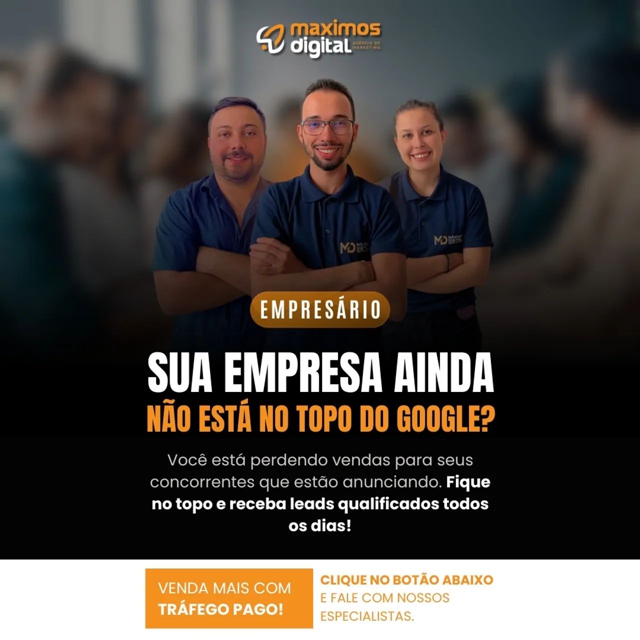 Criação de Sites Profissionais 