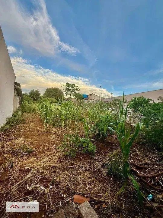 Terreno à venda, Campinas/SP - Foto 3
