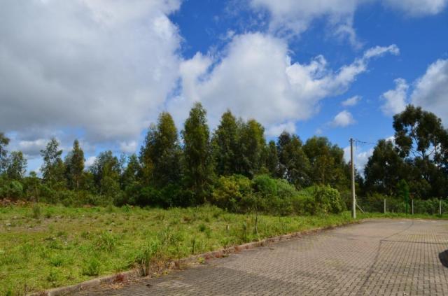 Terreno residencial à venda, vista do vale, canela. - Foto 3