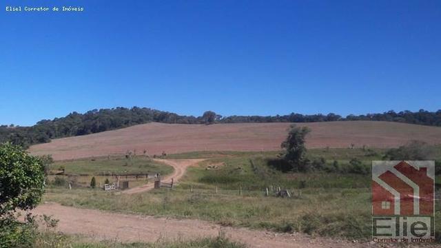 Fazenda para Plantio e Pastagem em Santa Terezinha - Foto 19