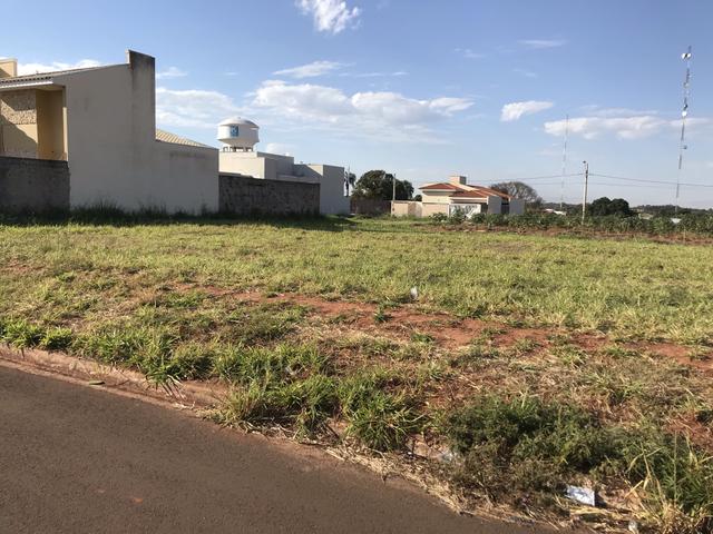 Terreno Golden Park em Urânia - Foto 3