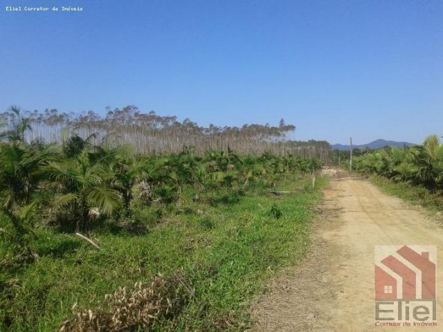 Fazenda Plana em Itapoá, Criação de Gado ou Plantio, Aceita Parte em Permuta - Foto 6
