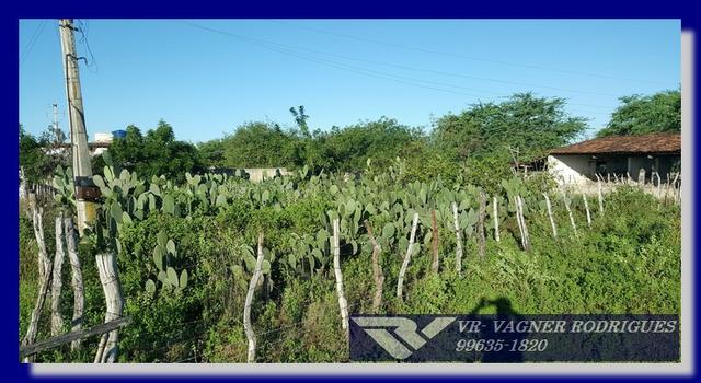 VR-Belíssima Fazenda 130ha com Estrutura, Localização Privilegiada, Valor Super Atrativo - Foto 5