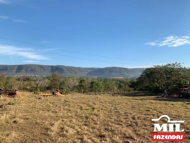 4 km de margens do Rio Araguaia. Fazenda 96 alqueires 464.64 Hectares - Aragarças-GO - Foto 12