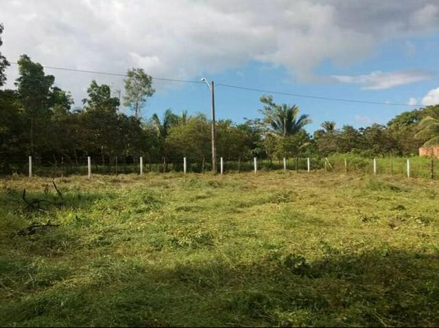 Oportunidade única - Foto 4