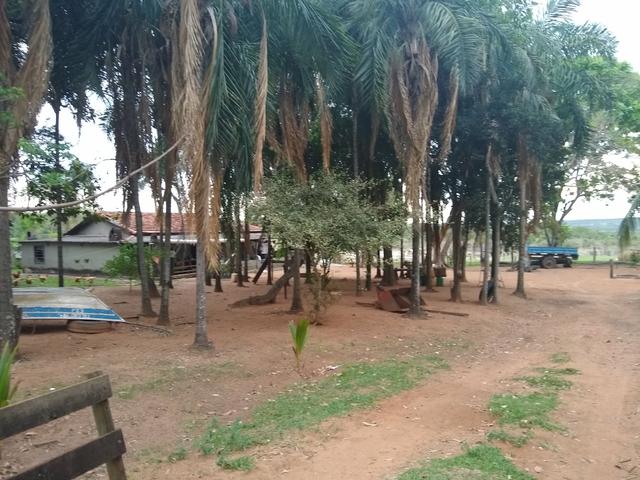Fazenda - Foto 5