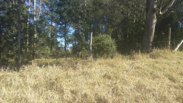 Terreno para sítio - Foto 2