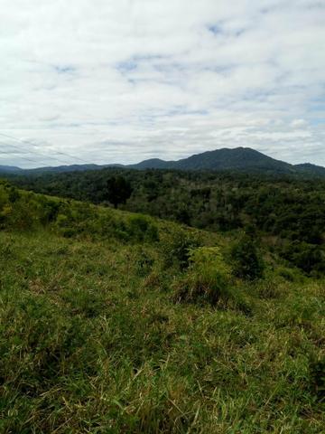 Fazenda em camamu R$ 1.500.00 a tarefa a mais barata do Brasil - Foto 13