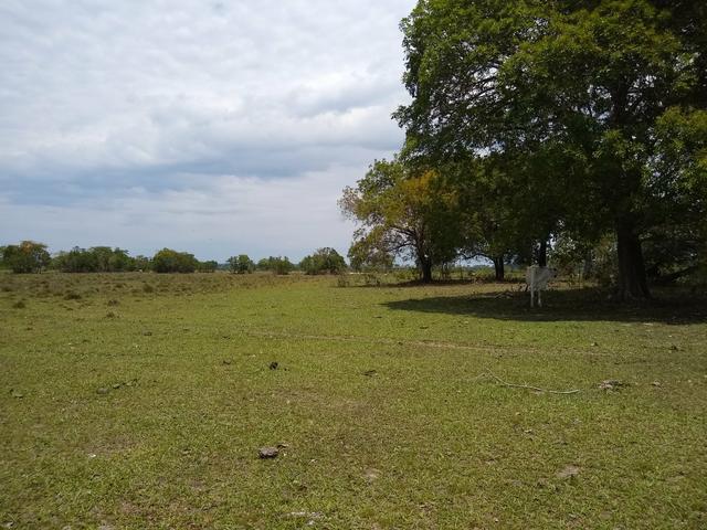 Fazenda