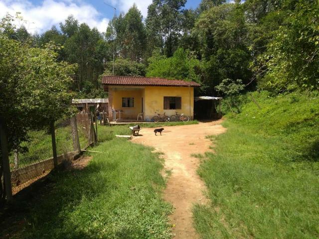 Vendo sítio em Caucaia do alto cotia - Foto 7