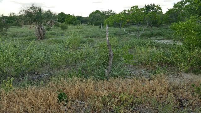 Terreno para Chácara ja cercado