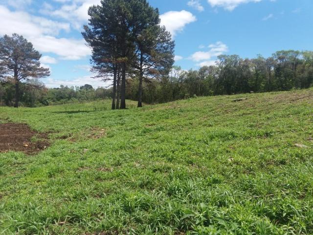 Chácara em Fazenda Souza - Foto 2