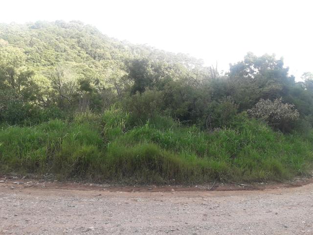 Chácara com 2 alqueires Barra santa rita/Campo magro - Foto 18