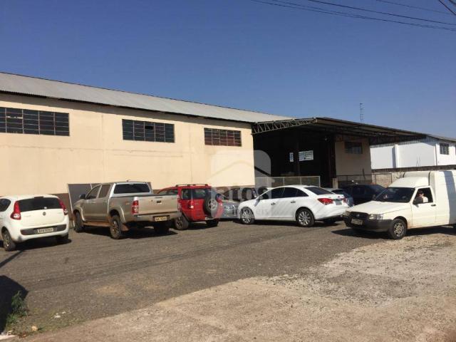 barracão comercial em arapongas paraná