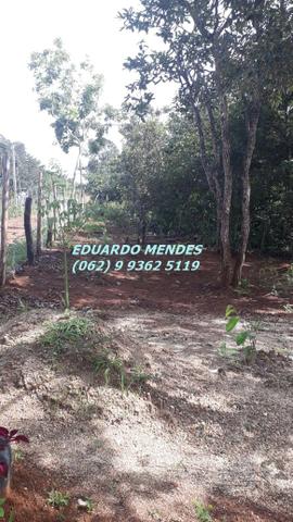 Chácara de 2.000 m2, região do trevo Zé Rosário - Foto 13
