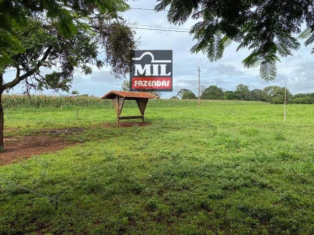 Linda Chácara 1.65 Alqueires ( 8 hectares ) Bela Vista de Goiás; - Foto 18