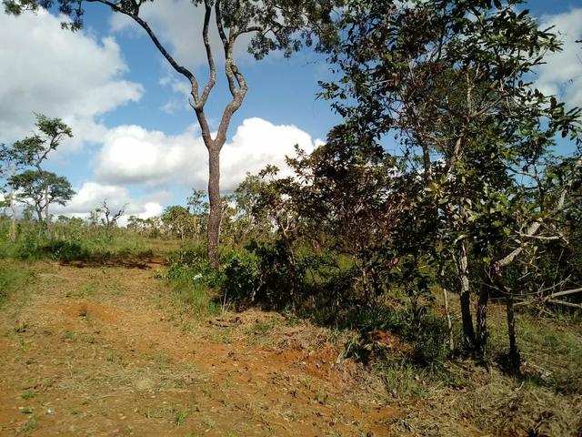 Fazendinha 30.000 mil m2, ótima localização em Três Marias. - Foto 2