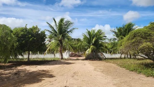 Granja com 6000m² na Lagoa do Bonfim - Foto 4